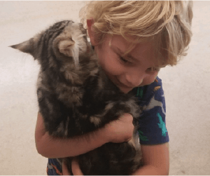 boy holding cat in his arms