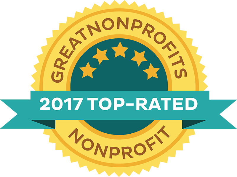 Which are the Top Nonprofits to Donate to in 2017?