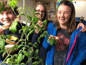 3 kids holding a tomato plant - Earth Rebirth - GreatNonprofits