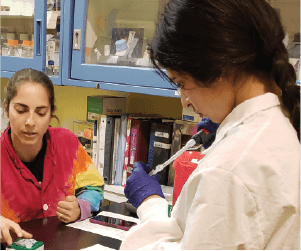 2 women in science lab working