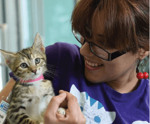 woman holding adorable kitten