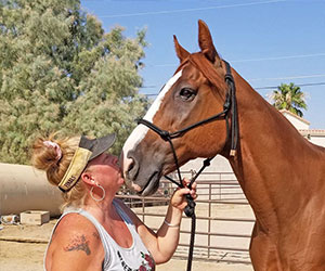 horse gets adopted All Vegas Horses L.E.A.N.