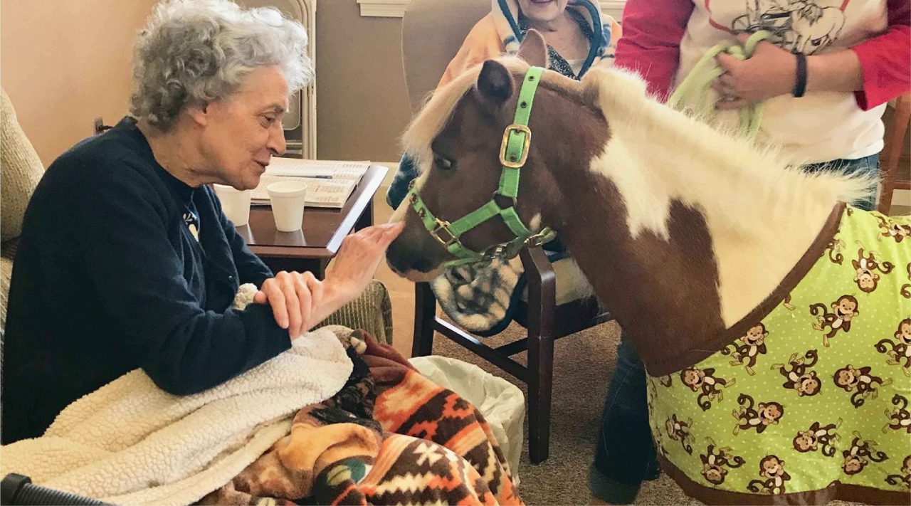 senior woman petting pony