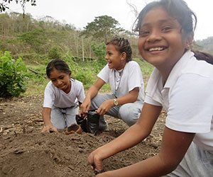 Children learning about forest conservation by planting Ceiba Foundation for Tropical Conservation,Inc.