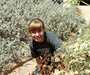 volunteer working on a restoration project Back to Natives Restoration