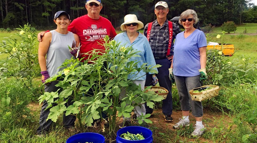 food programs