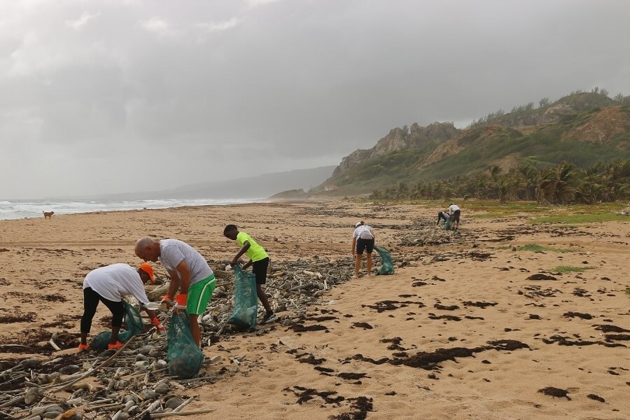 beach cleanup