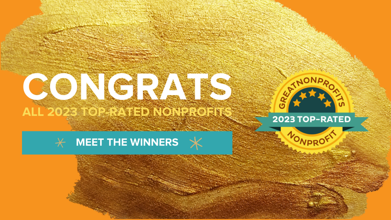 Elevate Your Impact: Unveiling the 2023 GreatNonprofits Top-Rated Guide!